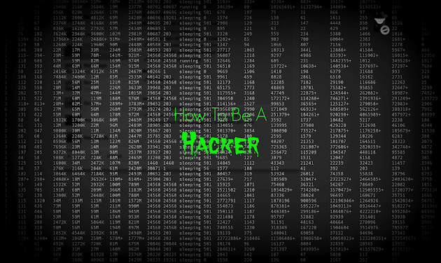 How to become a hacker